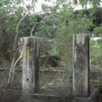 WhatsApp Image 2022 11 09 at 2.34.44 AM