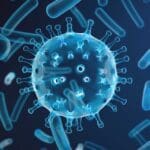 csm Infection disease 8f4b6cfecd