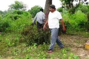 வேறுபாடுகள் மறந்து அனைவரும் ஒன்றிணைந்து விளக்கேற்றுங்கள்! 3 image afb2762501