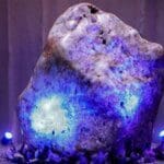 static image cdn 1 150x150 1