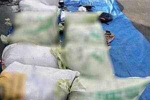 போதைப்பொருள் படகு தொடர்பில் கிடைத்த தகவல்! 9 1671192810 s 06