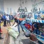 1671361917 1671361332 NAVY S 1