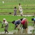 1672283914 1672281652 Famers S