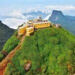 321095322 904697644034351 77657497549139101 n