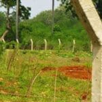 1676115400 1676113978 idam jj L