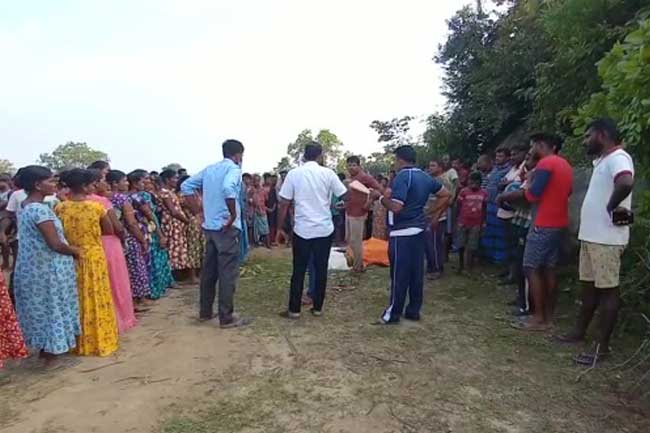 1676212653 1676208894 madakalapuwa L