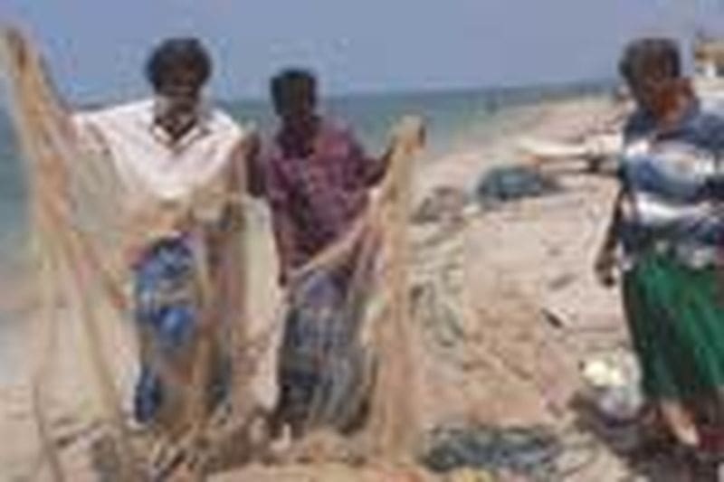 1677764445 indian 1 1