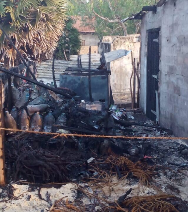 WhatsApp Image 2023 03 28 at 12.47.25 PM