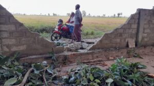 அம்மன் ஆலயத்தில் யானைகள் அட்டகாசம்!! 5 image ab9b4101dd