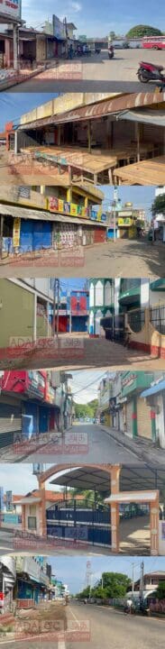 1682398628 harthal mannar 2