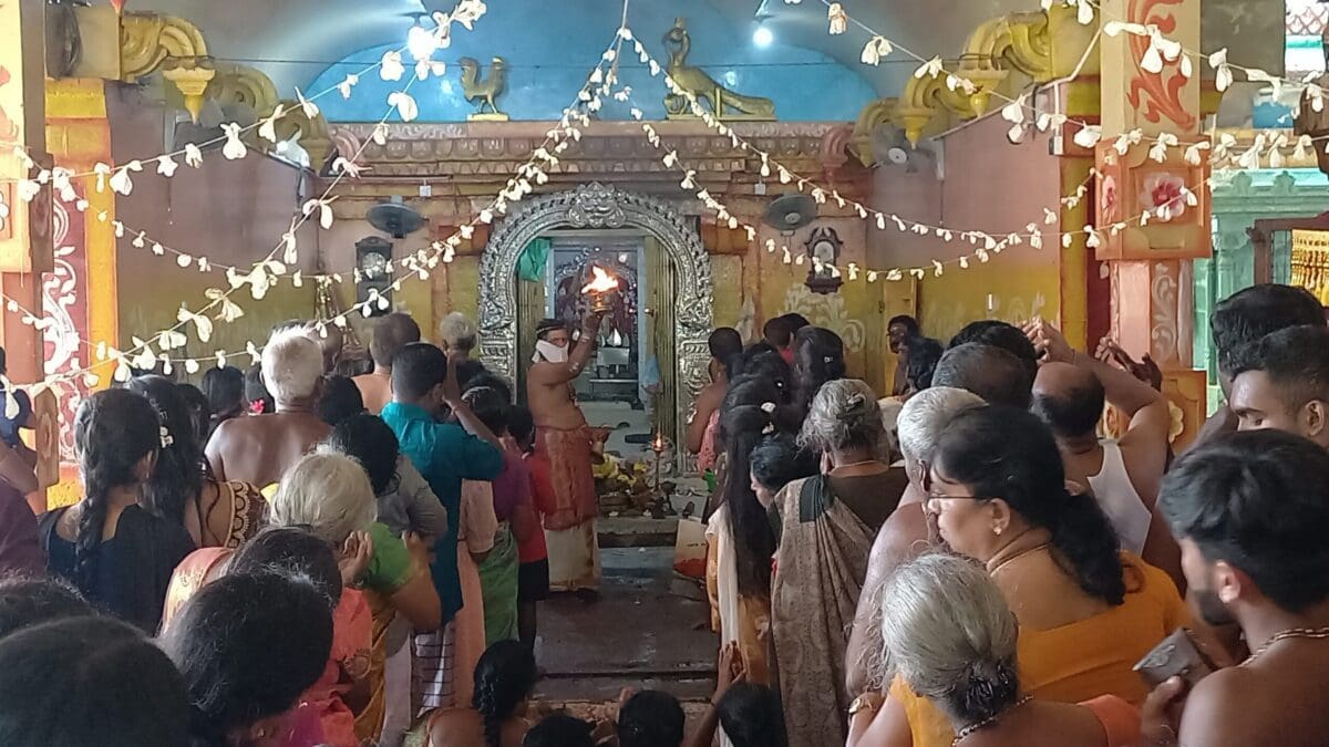 20230414 150639 scaled