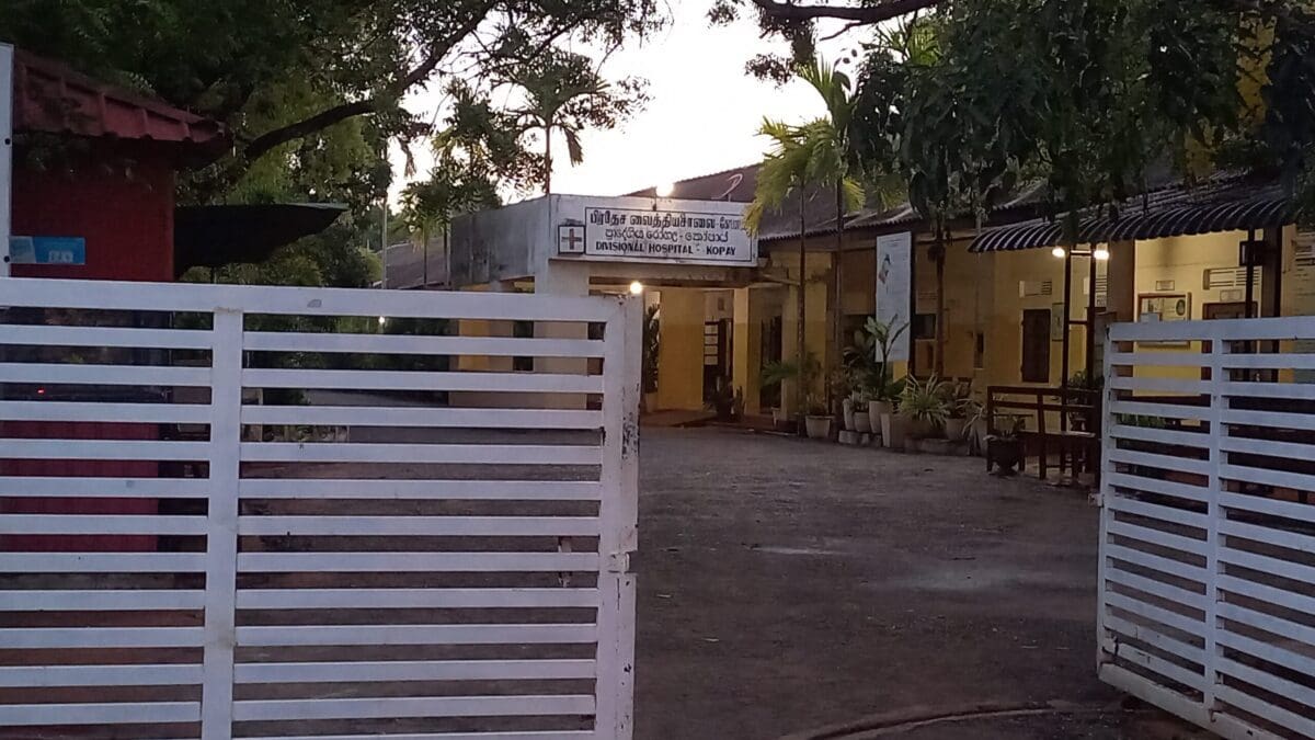 20230430 182547 scaled