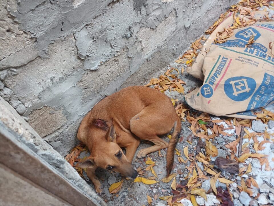 75926e09 78ce 4f75 81d3 70af1efca458