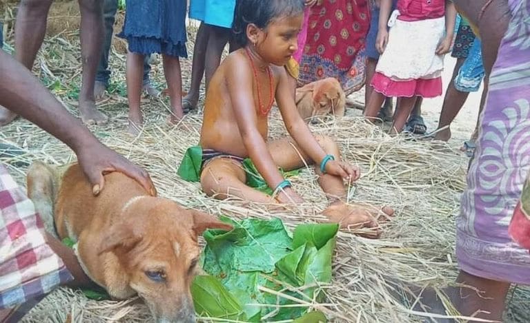 7DkztpVcC9uRbXS2w1YK 1