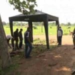 8MCFKgsFj5wmkr8cSgDe 1