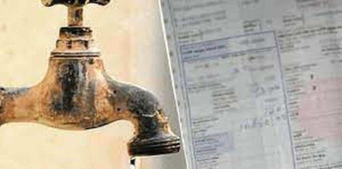 C1F2d2YF1VaZPbCw211Z 1