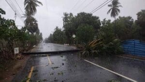 FB IMG 1682169400388