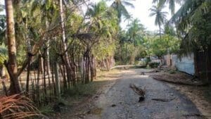 FB IMG 1682169404971