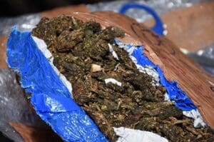 IMG 20230403 WA0007 1