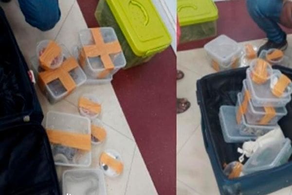 KmLKPf2WyU9ahGVig1Dd 1