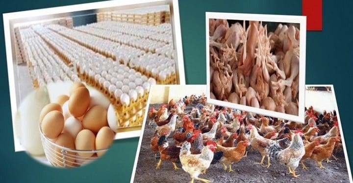 PM3f0vr8HntSdSGIUDuH