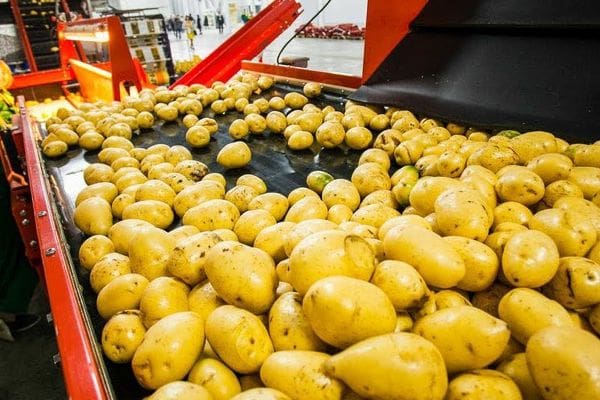 ZrSOm9bFW7fpHkcPiVj3 1