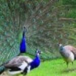 edym3cUXtI8uvIxCnbsM 1