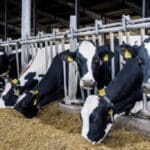 f13ITI3dx4JmHwF2f9EX 1