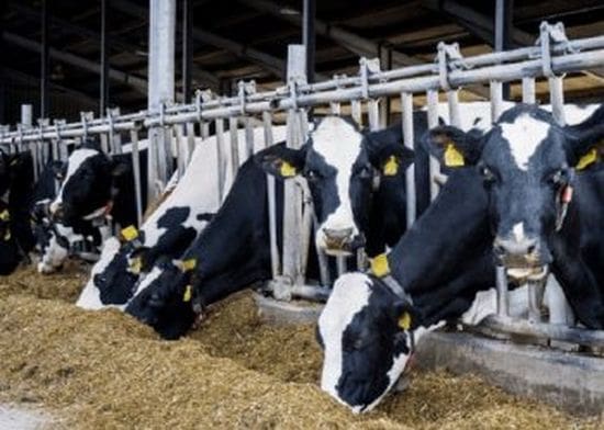 f13ITI3dx4JmHwF2f9EX 1