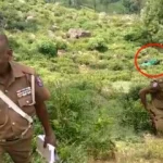 tmyHN5sZb69d9uU7Oyo4