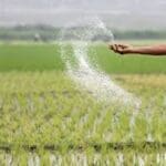 unOpZTSGwKoXOYeyvTrS 1