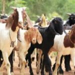 wyedLCSiIwcotLuKJUQ3