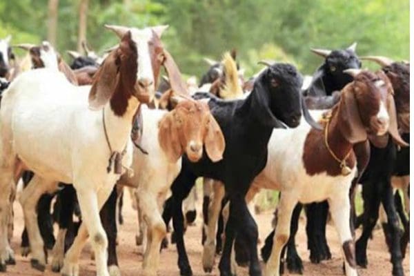 wyedLCSiIwcotLuKJUQ3