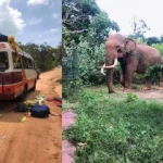 z0LStDYfSn36zvuAVpgZ