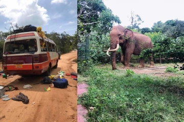 z0LStDYfSn36zvuAVpgZ