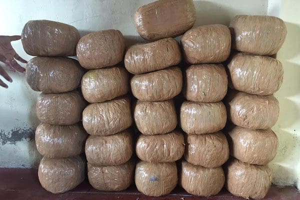 0QPhq7bMGBk6c5dXlJf9