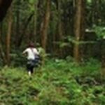 1fv837FpK23efl0TSlVr 1