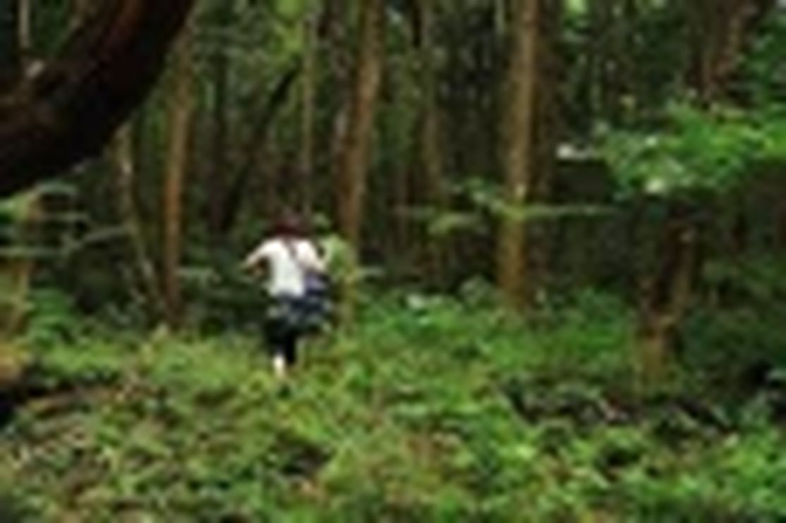 1fv837FpK23efl0TSlVr 1