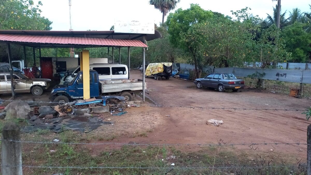 20230430 181633 scaled