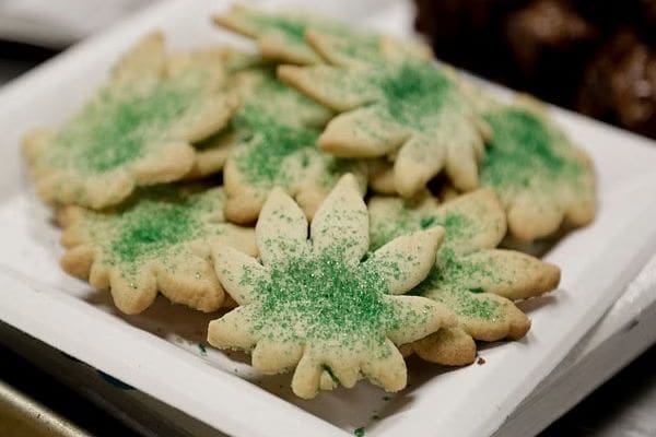 AqC5P5TZdBNogwEjdlRj 1