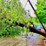 FB IMG 1683439308225