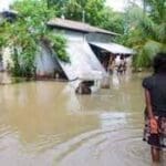 FONRw7mhqnE0G1JSJ7JZ 1