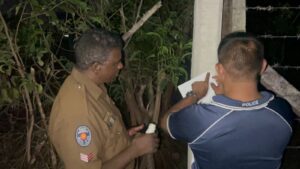 IMG 20230504 WA0195 1