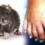 Q9CK6RRNH6y5wOdYINDk 1