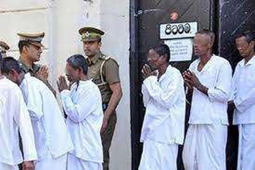 QWOoPFjR458Anze6UtN5 1