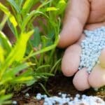 iLuN1qOIDprb02IuoxFi 1