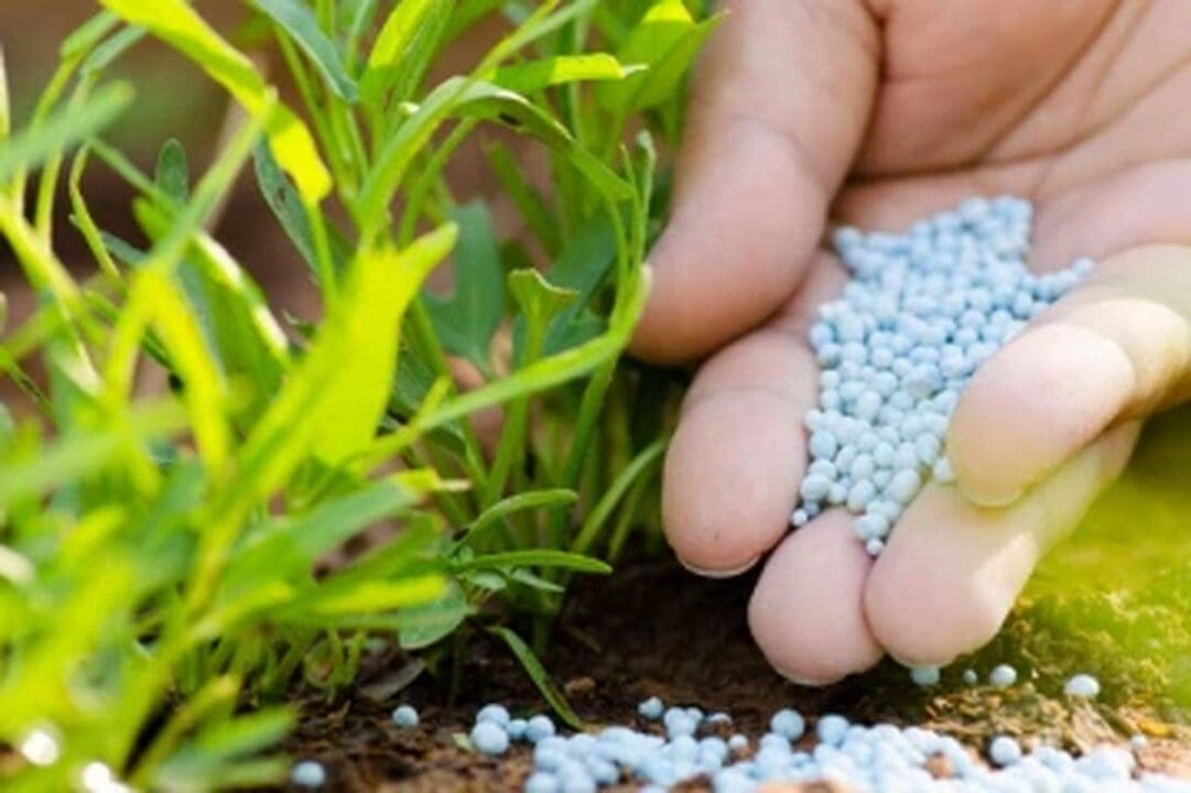 iLuN1qOIDprb02IuoxFi 1