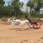 o46NQvajH0RUc3pS8ef8 1