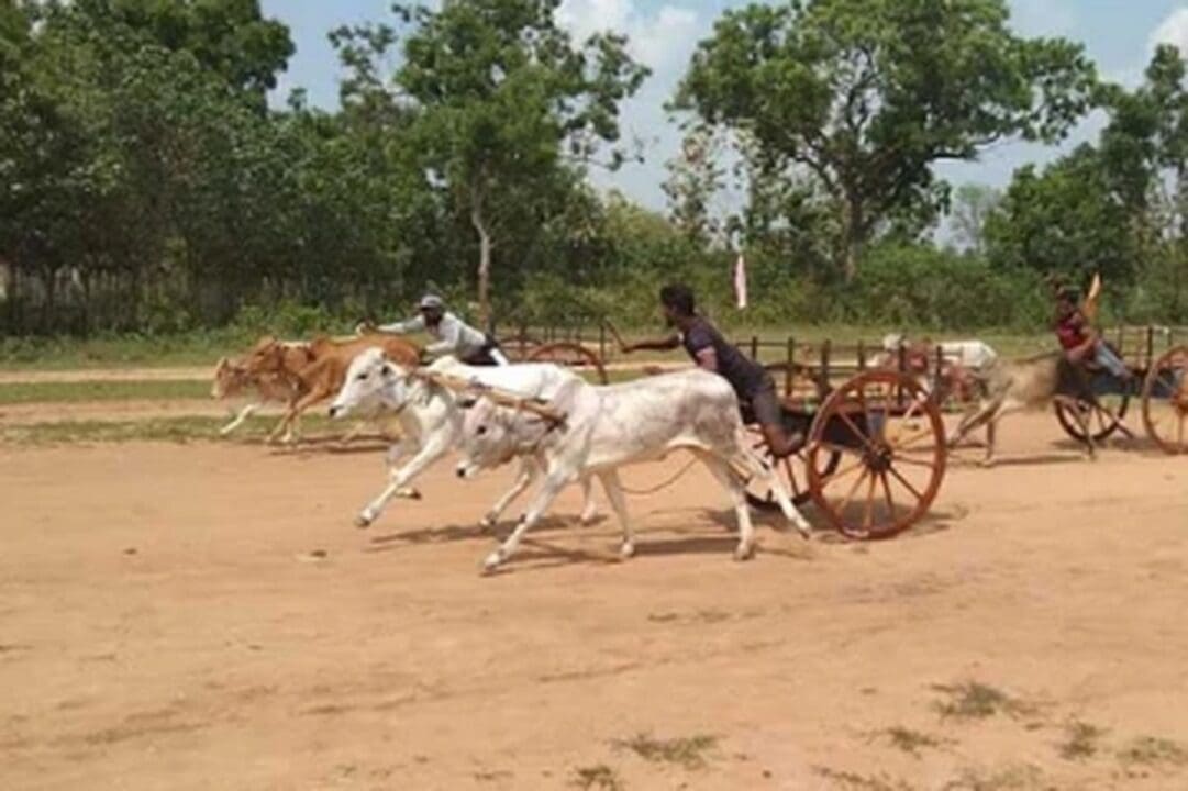 o46NQvajH0RUc3pS8ef8 1