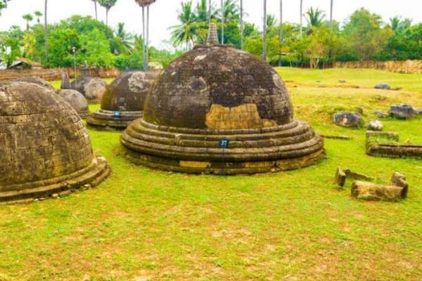 oEjkm3DLOoABhTL9SfnW 1